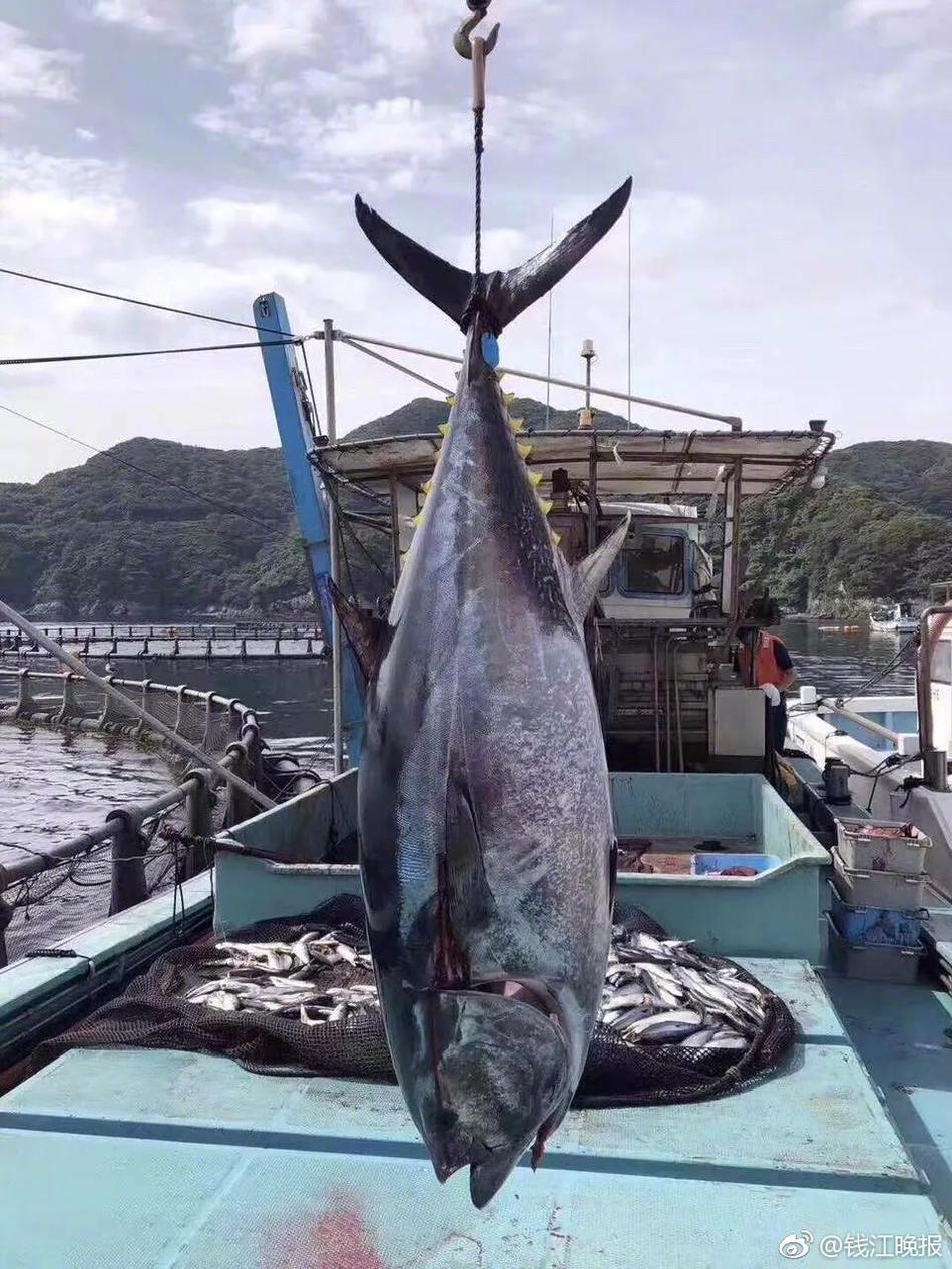 光线传媒：<公>司完成工商变更登记并换发营业执照