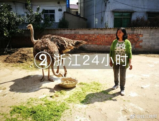 锡业股份;：上半年归母净利润10.62亿元，同比增长32.76%