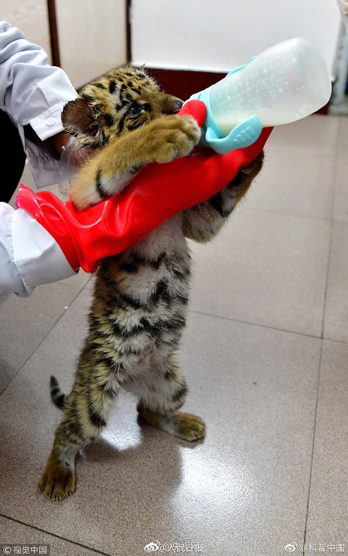 全球,布局成果显著 易德龙上半年各项业绩指标大幅增长