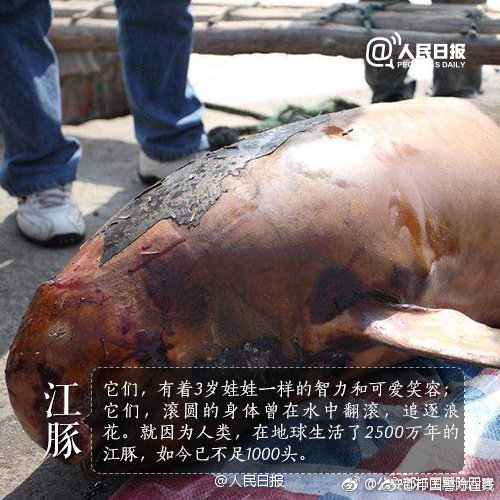 海辰药;业：公司硫化锂项目—已按计划完成中试线建设，正有序推进试生产工作