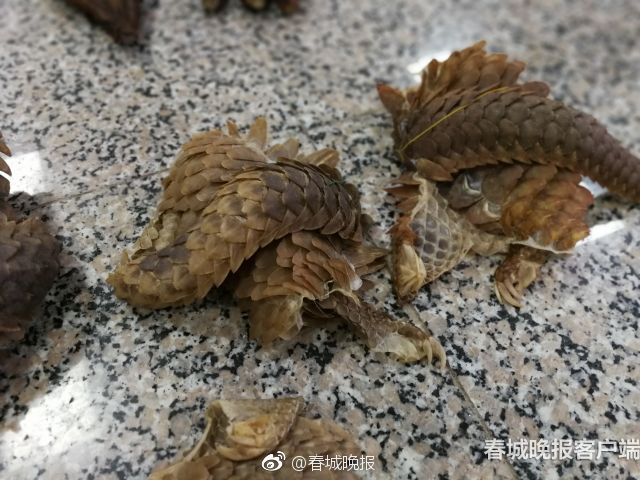 史;诗级乌龙！英国预算报告提前泄露，220亿英镑财政缓冲引发震荡