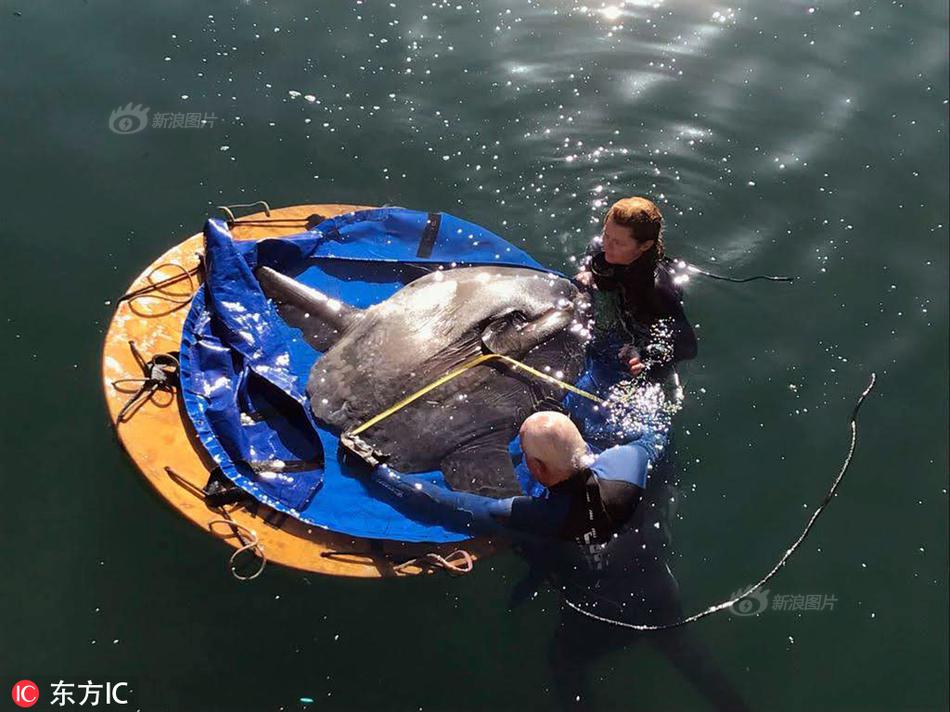 中石科技20<2>5年上半年,：归母净利润同比增93.7%至1.21亿元