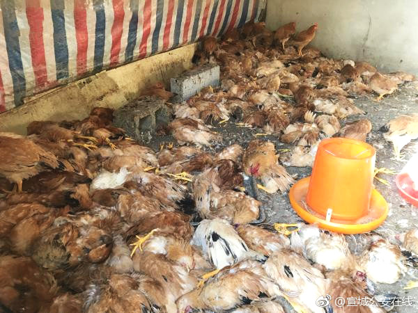 4000万元！上{海}机器人企业获增资‘’