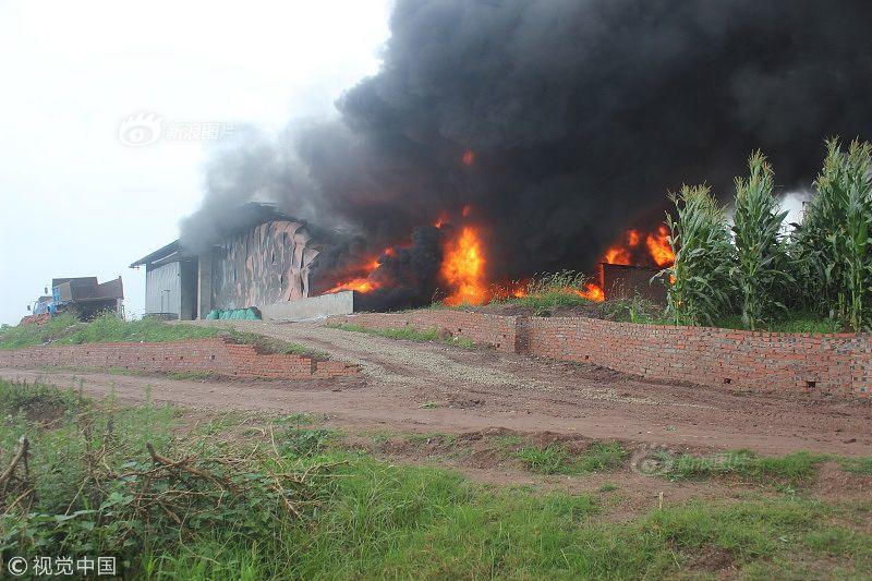 诺和诺—德与辉瑞围绕metsera展开减重药物争夺战