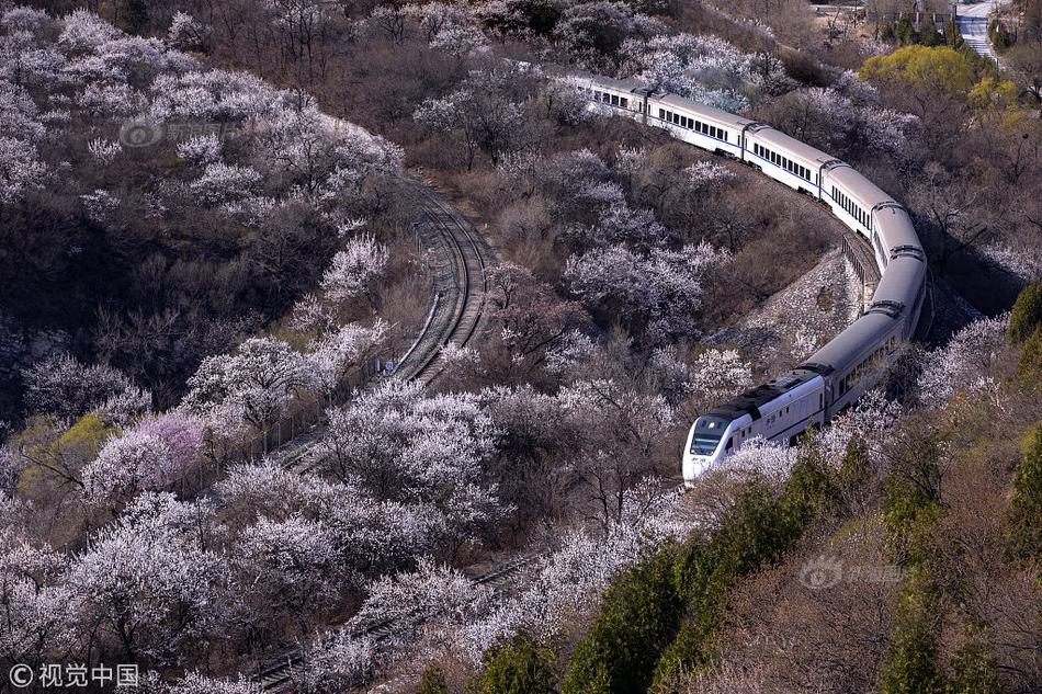 地,平—线机器人-w午前涨逾4% 摩根大通给予目标价13港元