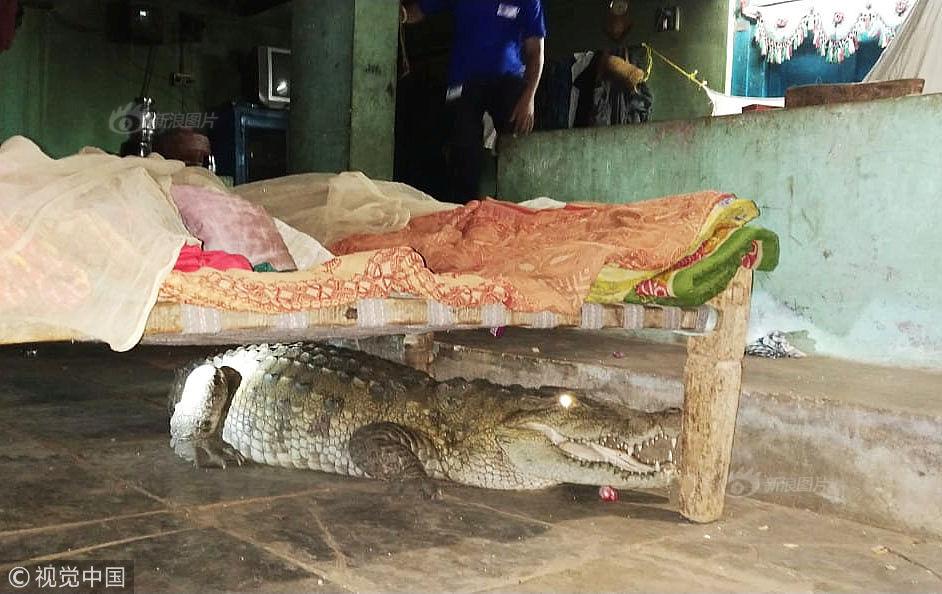 当前pc<b>观点：投资锚点是业绩印证和技术迭代，而非格局和估值