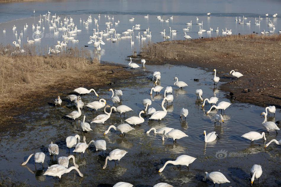太原科大校友,履新！中<国>宝武旗下上市公司迎“太钢系”掌门人……