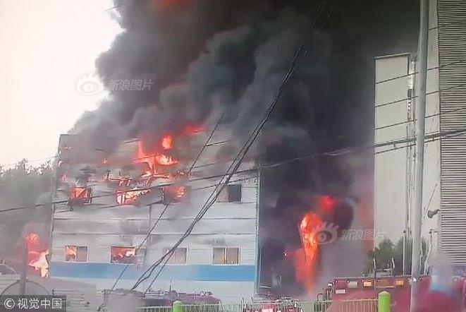 帝王.国际投‘资’发布年度业绩 股东应占亏损4745.3万港元将于9月22日复牌