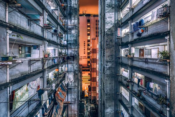 酒价{内}参11月<2>0日价格发布，青花汾20、习酒君品均回落1元