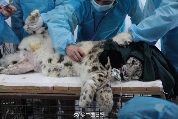 国际观—察｜?美芯片企业出口业务被政府“勒索”的背后