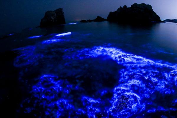 上市银行三!季报扫描：万亿城商行再添一员，营收增速三年来首度转正