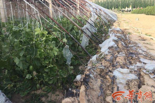 利好兑现？<港>股!短线走弱，港股互联网etf(513770)溢价高企，重点关注ai落地进度及互联网龙头财报表现