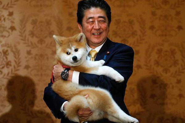 美联储降<息>预期升温！沪深300etf（510300）、a500etf华泰柏瑞（563360）助力一键布局a股核心资产