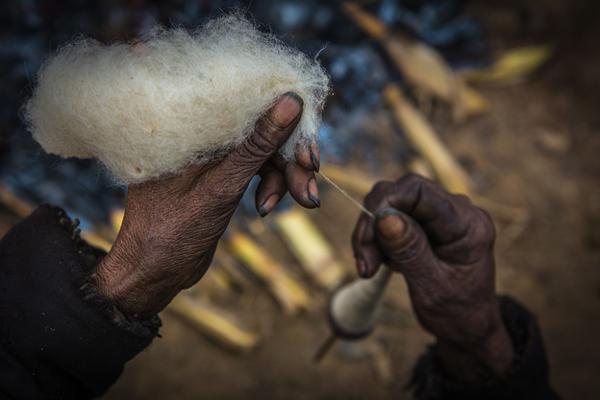 生!态环境<部>：我国建成全球规模最大的碳排放权交易市场