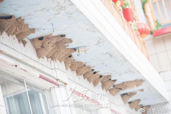 阳光电源获—融资资金买入超29亿元丨资金流向日报