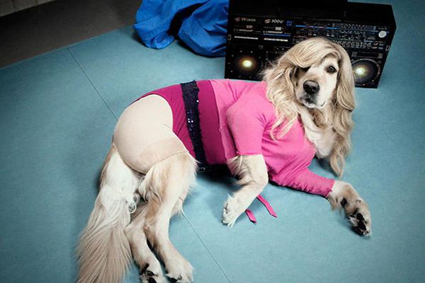 海尔智家成5年来最.稳健的a股家电企业