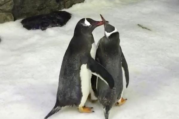 欧洲多!个机场遭{网}络攻击 大量航班延误或取消