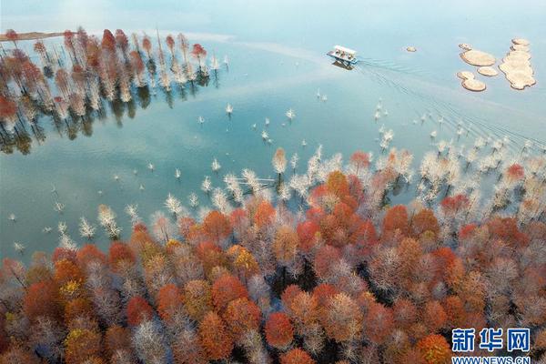 兴:业银行新‘增’汇丰银行为“跨境理财通”香港地区合作银行