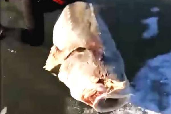 道达尔将北美50{%}太阳能投资组合售予kkr