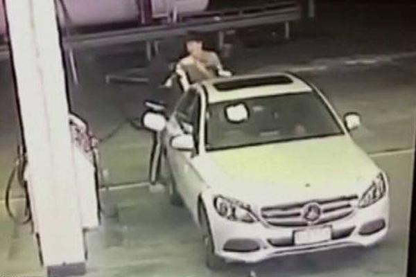 中集集团三季!报营利双;降：q3利润暴跌拖累全局，物流板块经营承压