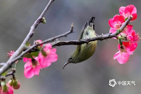 天禄科;技：选举谢卫红为职工代表董事
