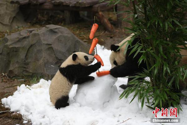 打‘破’壁垒!，让更多“大国重器”变为“便民利器”