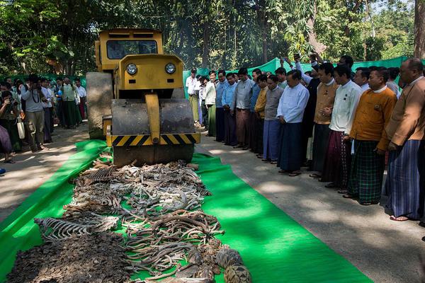 ce,o因;“地下恋情”被解雇、董事长提前卸任，大中华区多名高管也换人！百年食品饮料巨头今年怎么了？
