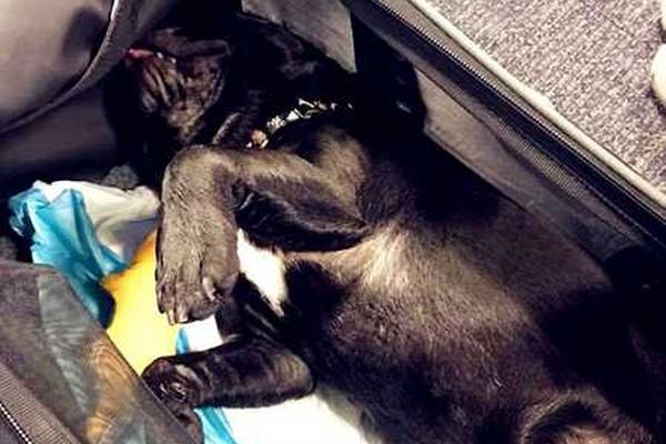 “十五五;”大方向已;定，如何跟踪？【国盛宏观|政策半月观】