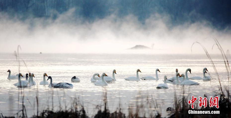 每月不到7:00元，上海一些幼儿园保教费将打近2折！多地明确普惠性民办幼儿园收费标准