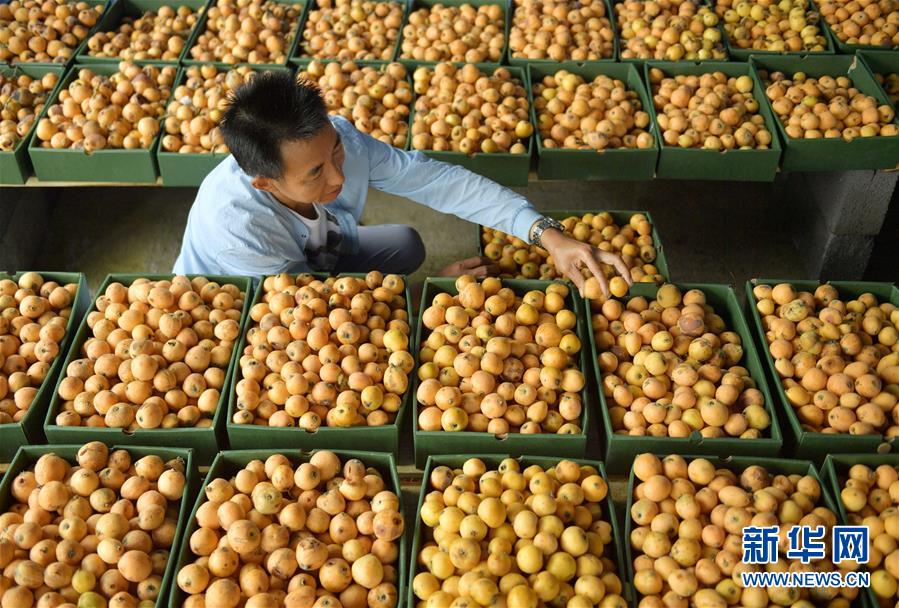 穆迪：授予{新}鸿基地产?(00016.hk)“a1”发行人评级，展望“稳定”