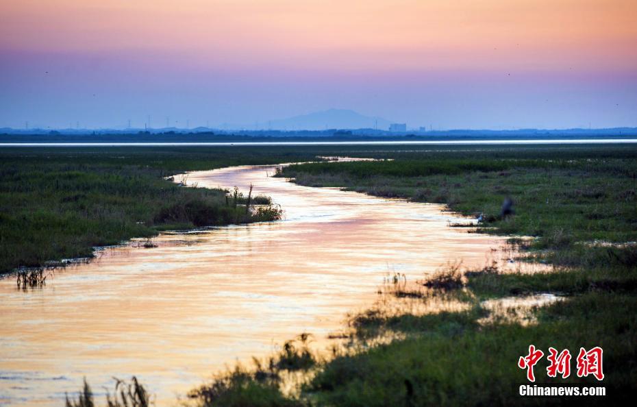 长期!美国国债领跌 adp就业数据好于预期