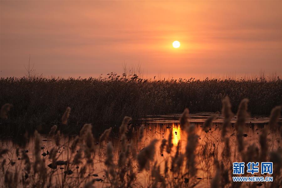 高盛点{评}美联储决议：10月降息有望