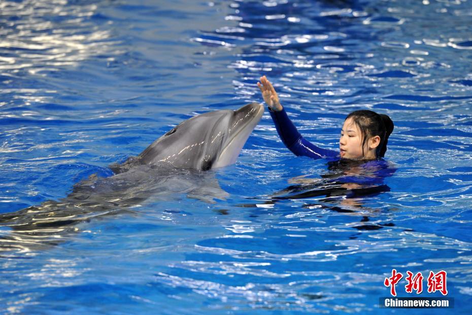 不差?钱的迈瑞医疗赴港ipo：“输血”还是“蓄力”？