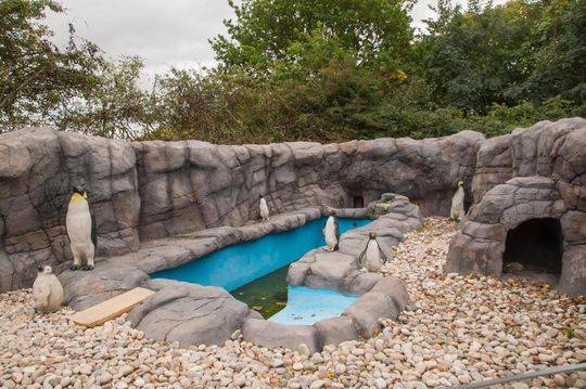 现货;以太坊etf交易火爆，过去五个交易日“吸金”是比特币十倍以上