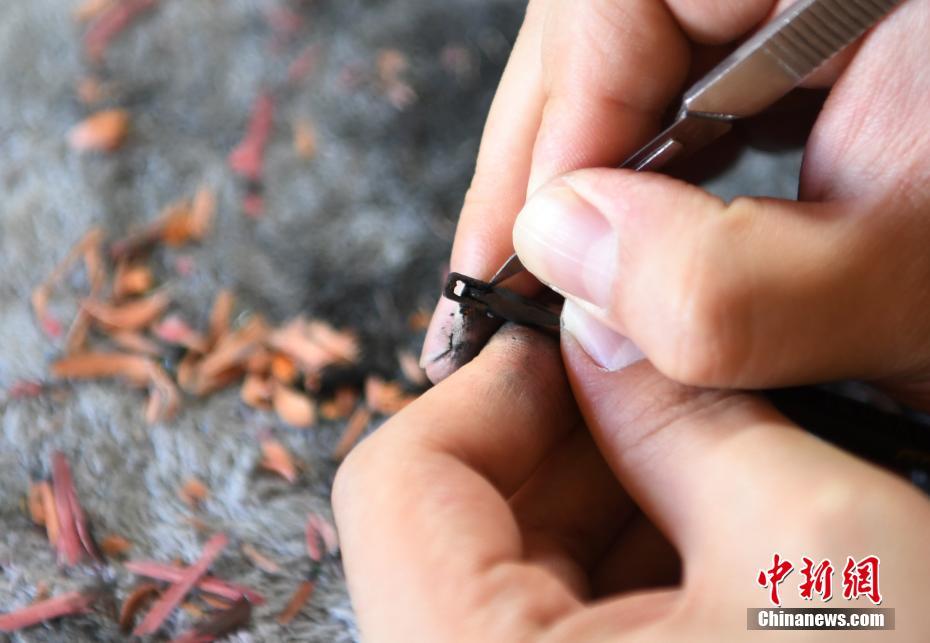 估{值}69亿量子计算商企冲刺a股备案